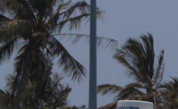 Picture 4.jpg