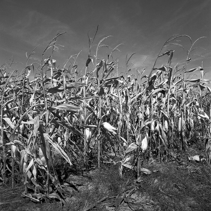 724-23-002 r 200.jpg