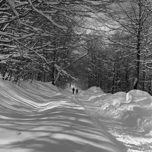 winterscape02 1.jpg