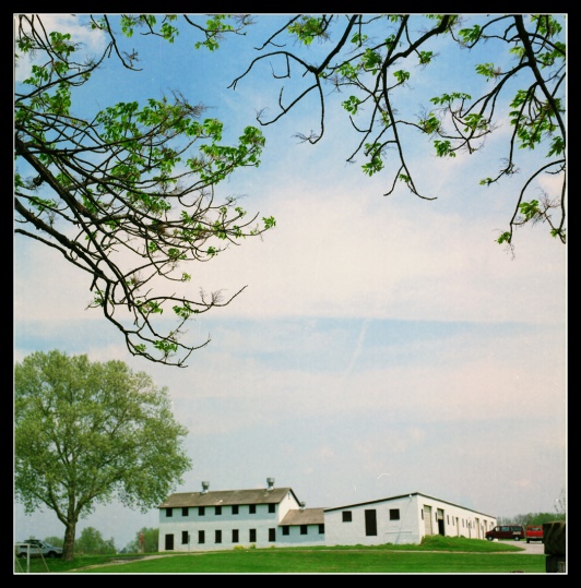 sc0002.jpg