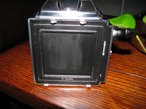 IMG_0310_2.JPG