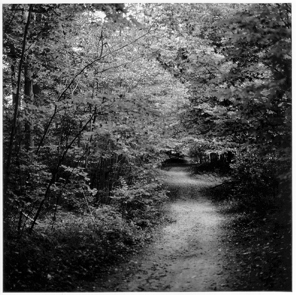 path.jpg