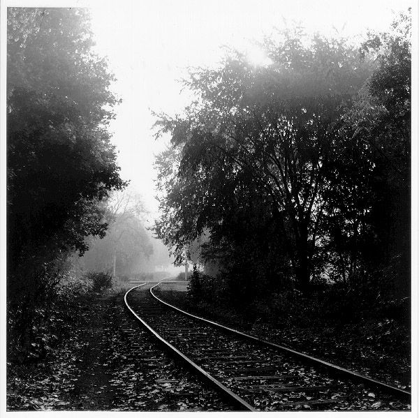tracks.jpg