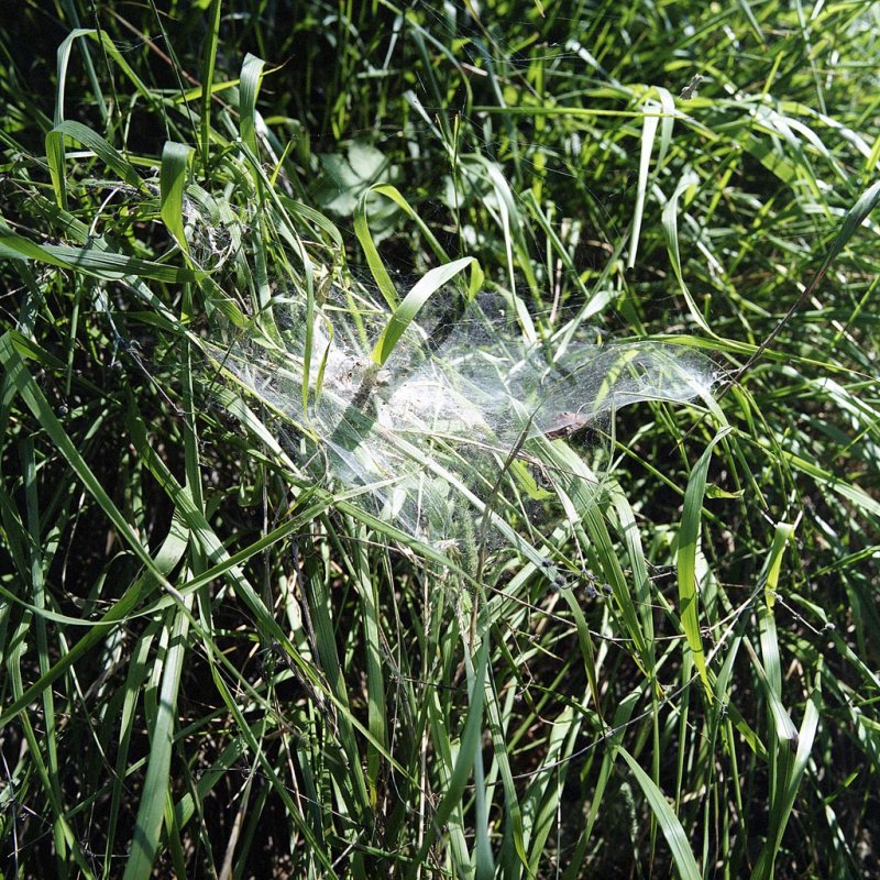 343-18-007 r 150.jpg