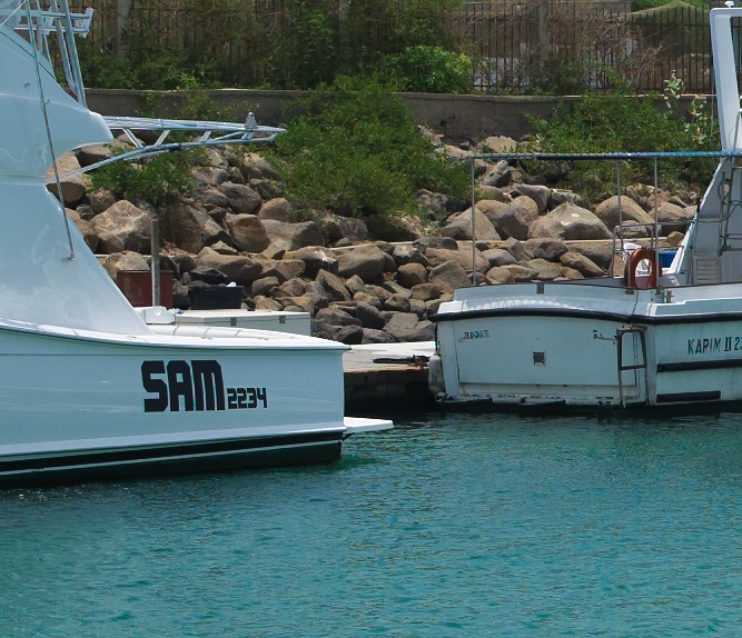 A_03529.jpg