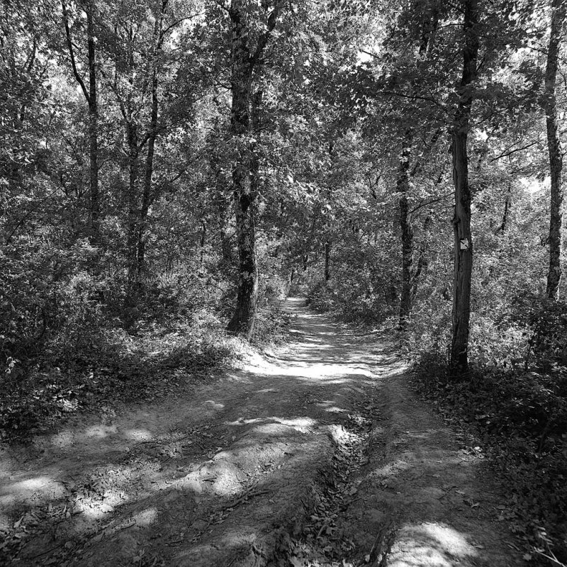 724-23-003 r 200.jpg