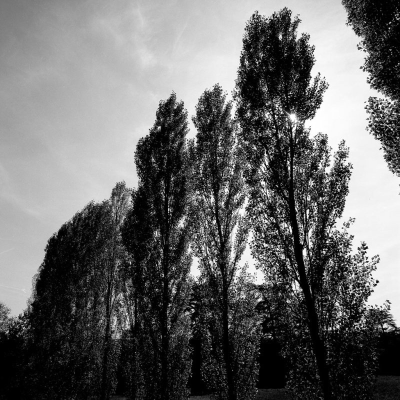 724-23-009 r 200.jpg