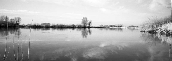 20100202-01-07.jpg