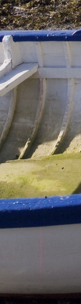 A_1238151 Detail.jpg