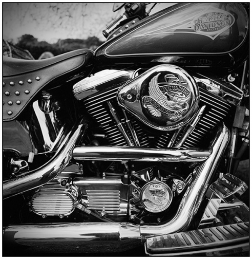 harley.jpg