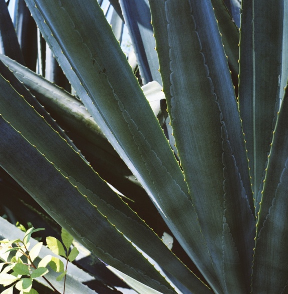 FH010008.jpg