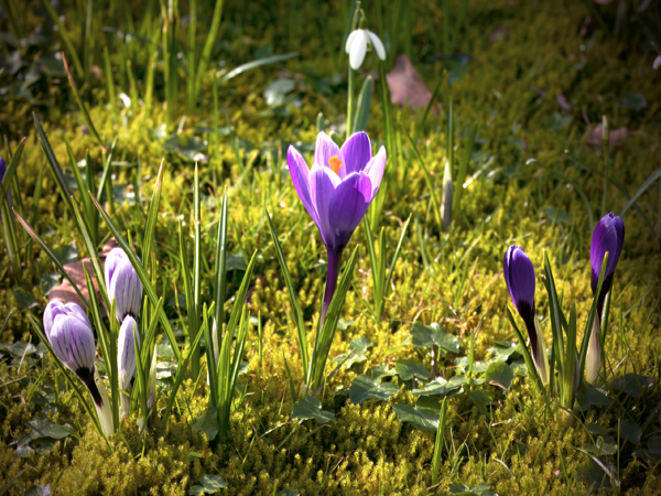 A4508214 - klein.jpg