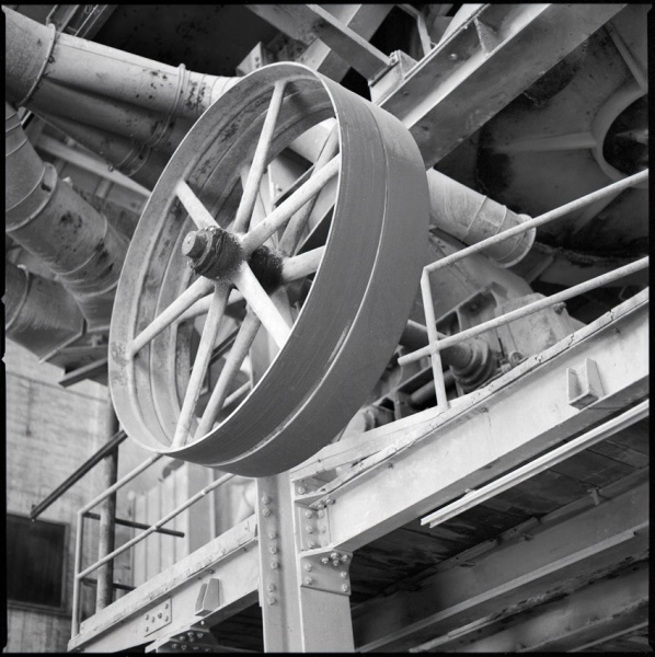 HF4.jpg
