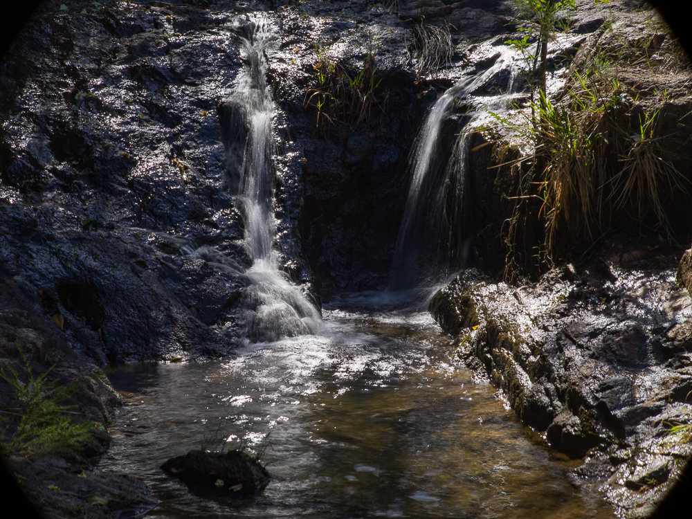B0000109.JPG